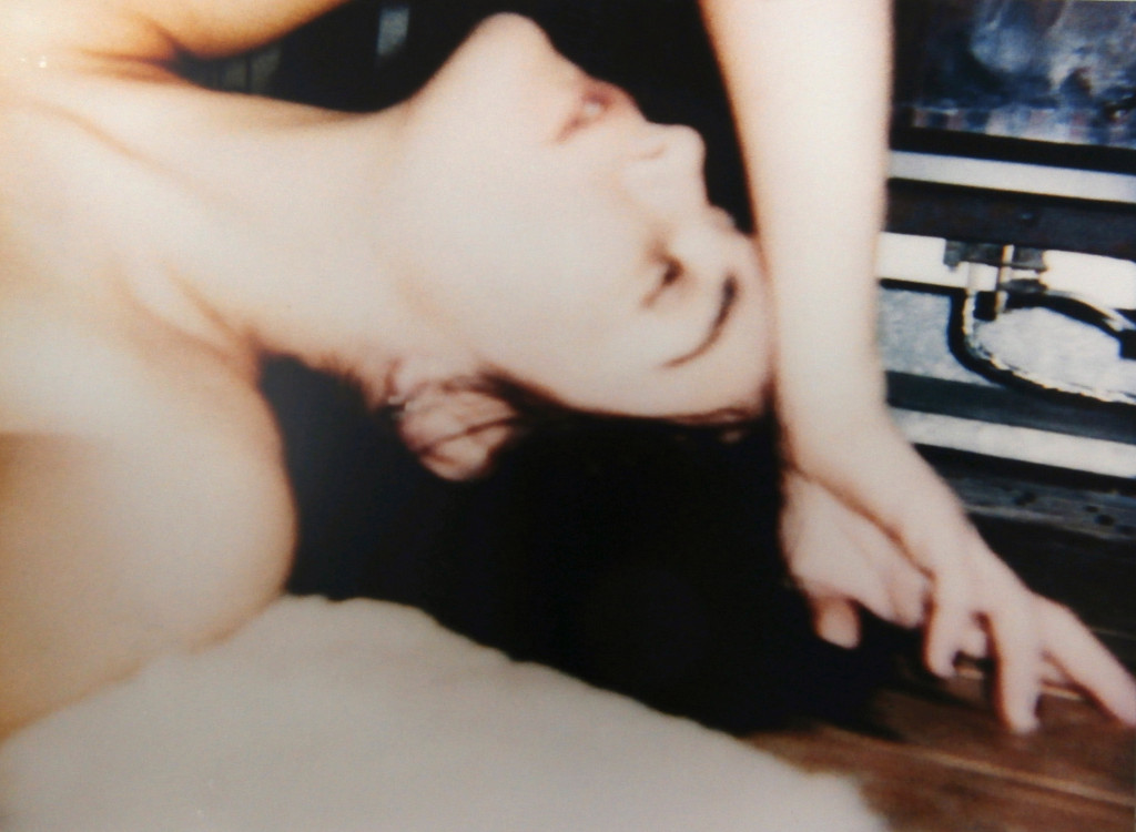 Stilleben Tote Hand #7, photowork on aluminium, 90x120 cm, 2000.